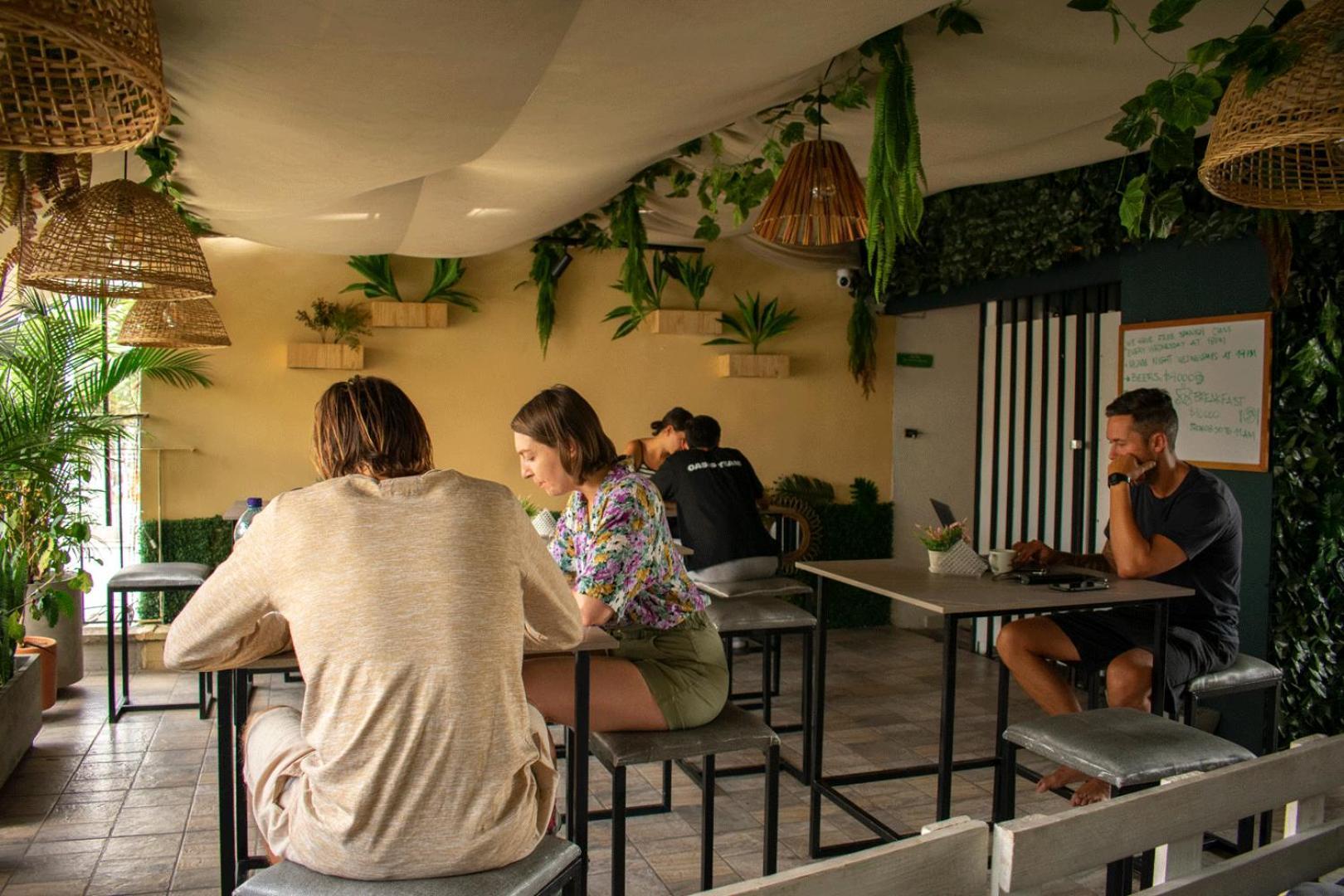 Oasis Hostal *